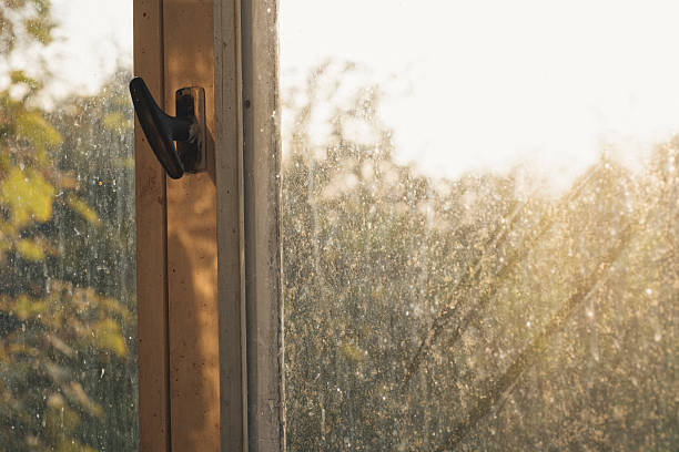 Image de l'article Comment nettoyer facilement ses vitres avec Bambou Magique Pro®